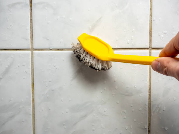 Best Mold Damage Repair  in Dawsonville, GA